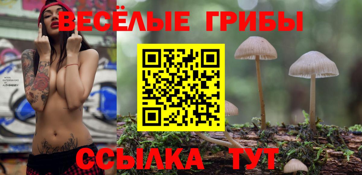 Галлюциногенные грибы ЛСД Кашира