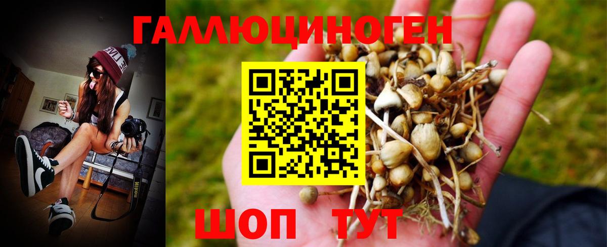 Псилоцибиновые грибы Psilocybine cubensis  Галлюциногенные грибы Psilocybe  Кашира  дарнет шоп  Вход с VPN 