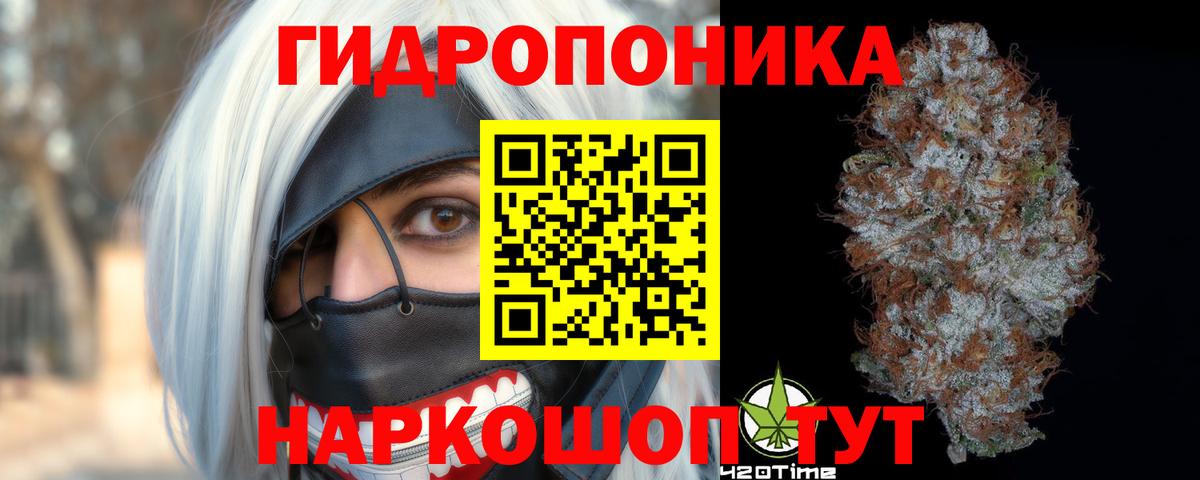 Конопля тримм  Вход с VPN  Шишки марихуана марихуана  Шишки марихуана Bruce Banner  Кашира  Конопля план 